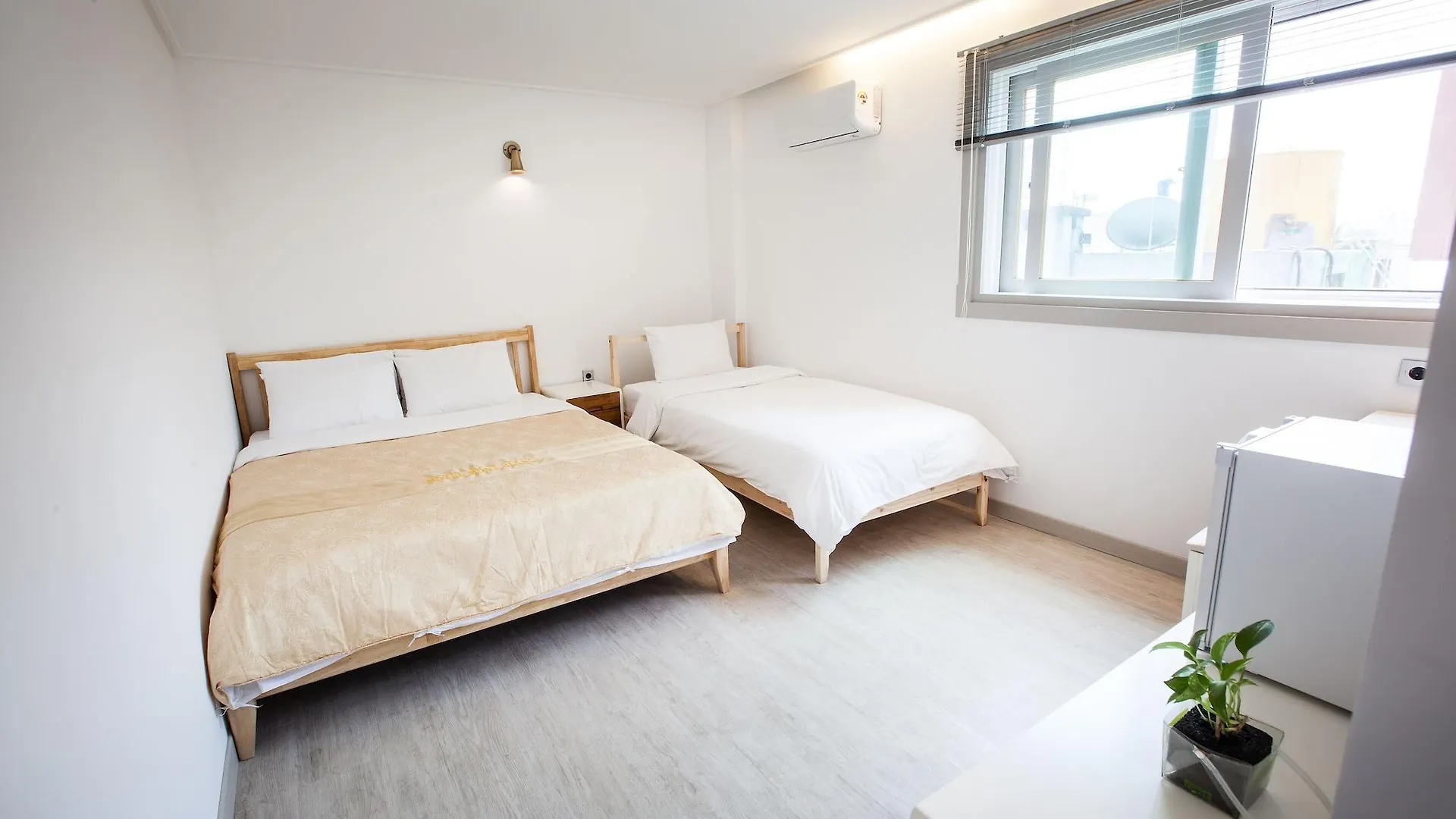 Petercat Hotel Shinchon Seoul 3*,  South Korea