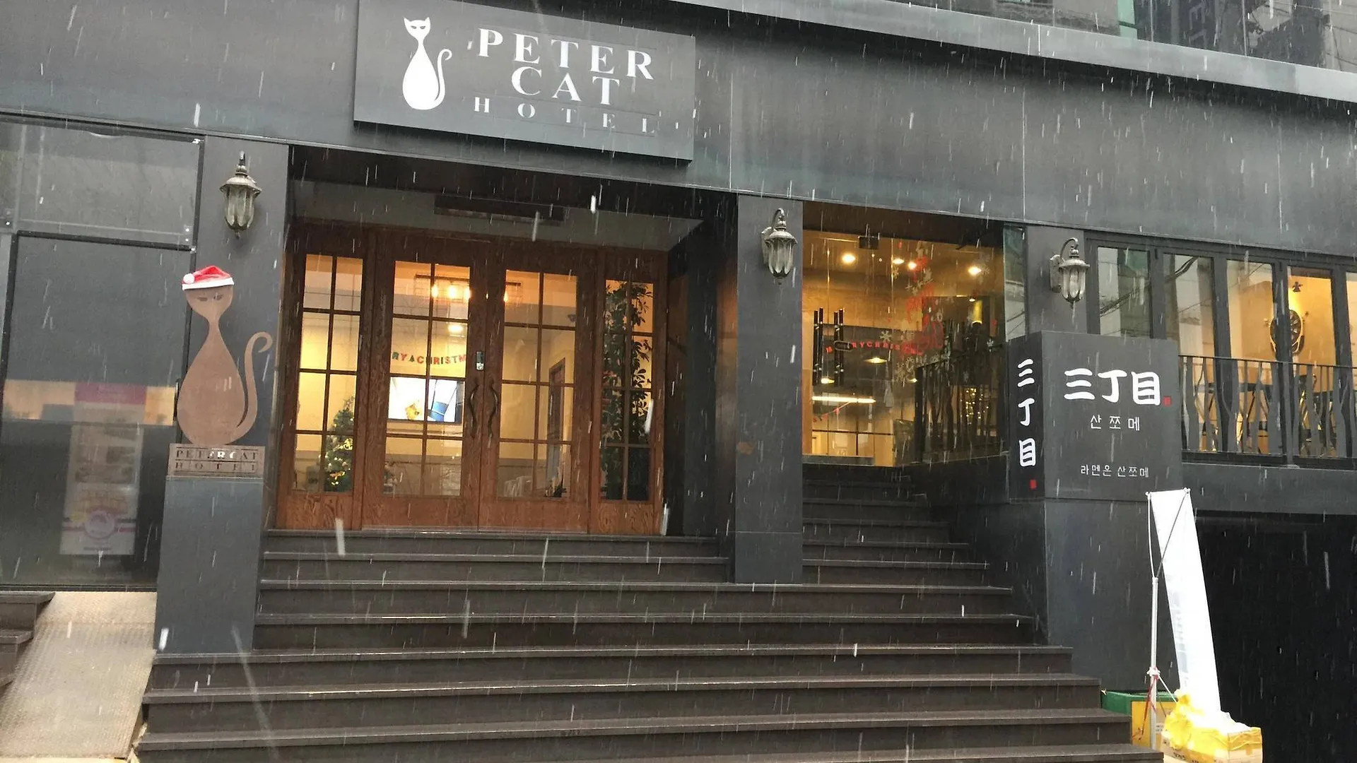 Petercat Hotel Shinchon